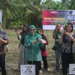 TP-PKK Luwu Timur Canangkan Gerakan Tanam Cabe Serentak