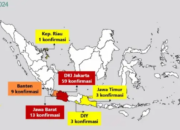 Berikut Sejumlah Negara Terimbas Wabah Mpox, Indonesia Termasuk?