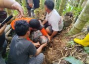 Dua Hari Pencarian, Lansia 83 Tahun di Toraja Berhasil Ditemukan