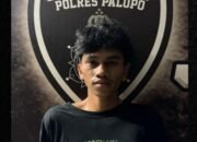 Polres Palopo Tangkap Pelaku Penganiayaan dan Pembusuran di Tiga Lokasi Berbeda