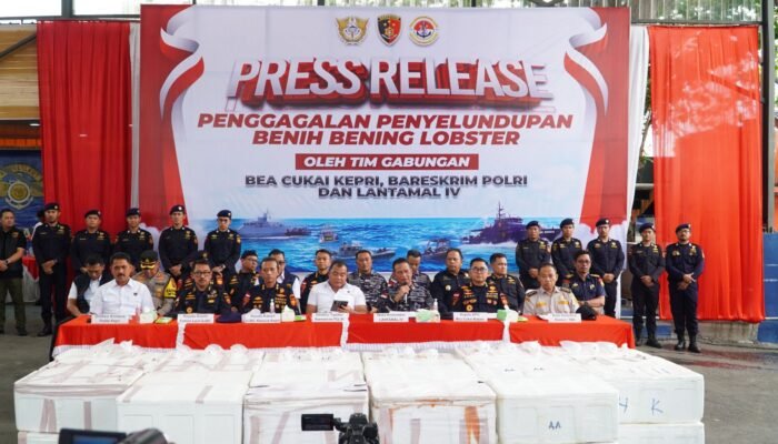 Polisi Ungkap Penyelundupan 237.305 Benih Lobster Senilai 23.6 Miliar