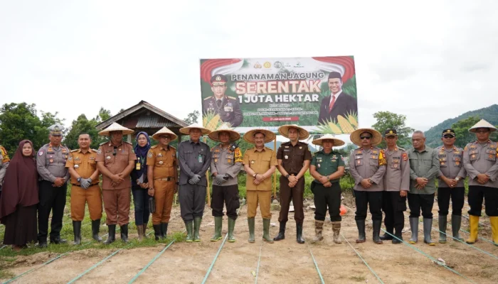 Pemkot Palopo Dukung Program Ketahanan Pangan