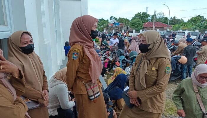 Ratusan Tenaga Honorer Datangi DPRD Palopo Minta Kejelasan Status PPPK