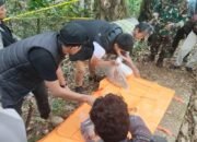 Penemuan Kerangka Manusia di Batas Palopo – Toraja, Polisi Lakukan Penyelidikan