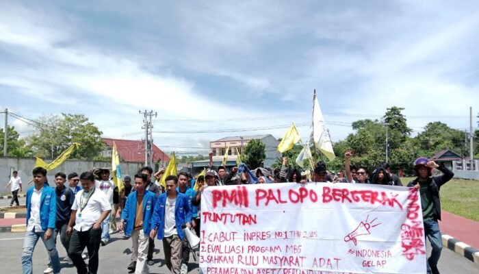 PMII Palopo Aksi di Kantor DPRD, Sampaikan Tiga Tuntutan