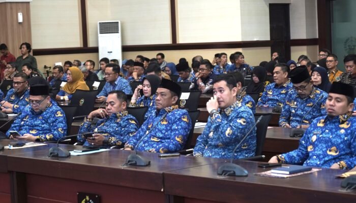 Bupati Luwu Hadiri Rapat Pleno TPAKD dan Pengukuhan Kepala OJK Sulselbar