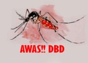 Dinkes Catat Kasus DBD di Palopo Capai 58 Orang