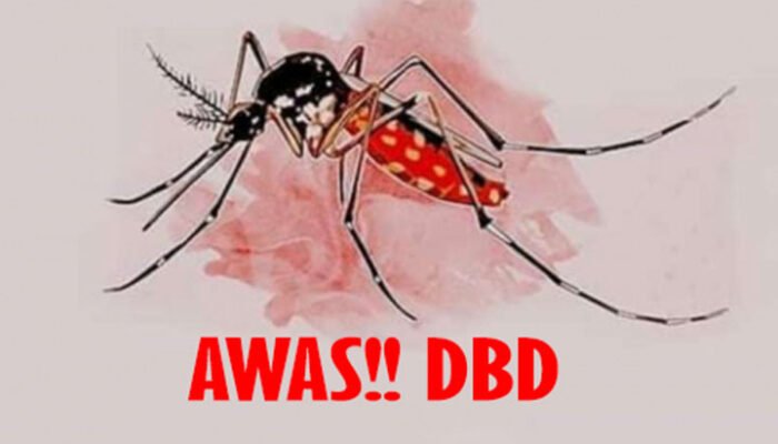 Dinkes Catat Kasus DBD di Palopo Capai 58 Orang