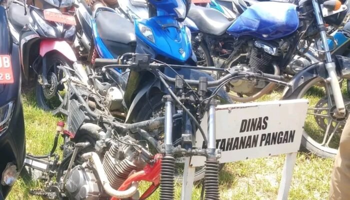 Kondisi Kendaraan Dinas di Luwu yang Kini Tinggal Rangka