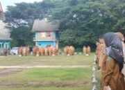 Wabup Luwu Utara Serukan ASN Jadi Garda Terdepan Penanganan Banjir
