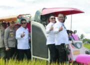 Dilibatkan dalam Panen Raya Nasional, Pemkab Luwu Komitmen Dorong Kesejahteraan Petani