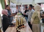 SFITAL Dorong Pembelajaran Inovatif dalam Praktik Agroforestri di Luwu Utara