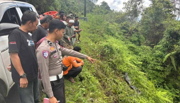 Kecelakaan Tunggal di Jalan Poros Palopo–Toraja, Seorang IRT Alami Luka-Luka