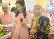 Pameran Warna Budaya: Dekranasda Luwu Gaungkan Kerajinan Lokal di Hadapan Istri Wapres