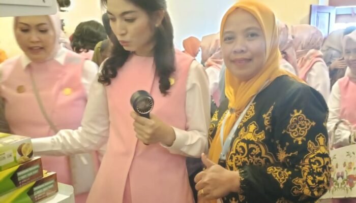 Pameran Warna Budaya: Dekranasda Luwu Gaungkan Kerajinan Lokal di Hadapan Istri Wapres