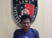 Pria di Luwu Ditangkap Polisi, Aniaya Korbannya hingga Tewas