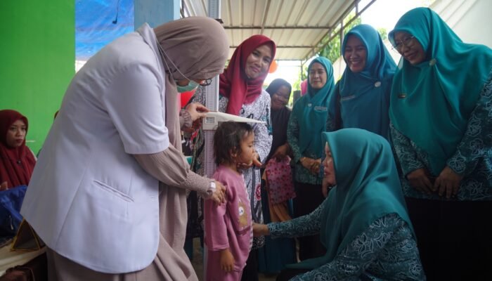 Gerak Cepat Atasi Stunting, TP-PKK Luwu Salurkan Bantuan di Ponrang Selatan
