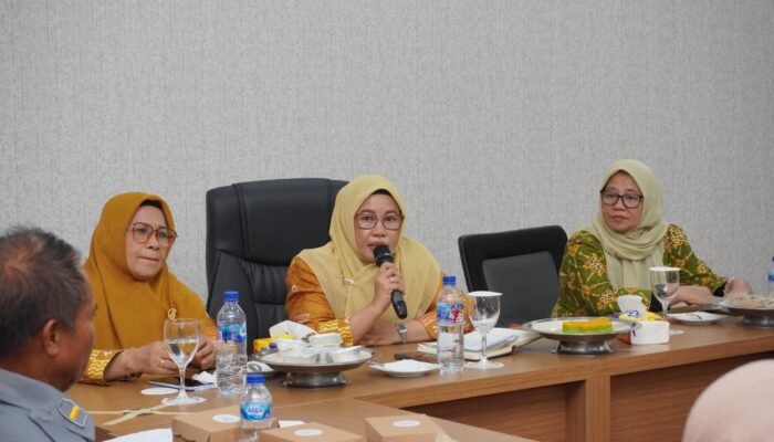 Ketua Tim Pembina Posyandu Luwu Tegaskan Komitmen Jalankan Permendagri Posyandu Era Baru