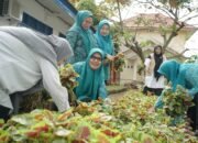 Ketua TP-PKK Luwu Dorong Pemanfaatan Pekarangan untuk Kemandirian Pangan Keluarga