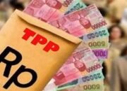 Kabar Gembira! ASN Luwu Utara Bakal Terima TPP 2 Bulan