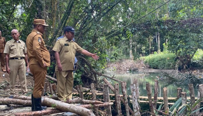 Bupati Luwu Tinjau Kerusakan Bendung dan Irigasi, Prioritaskan Penanganan Cepat Demi Petani