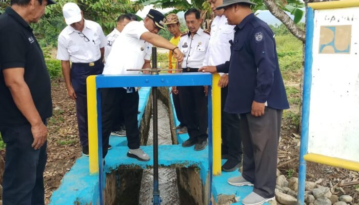 Gerak Cepat Bupati Luwu: 1.000 Hektar Sawah Kembali Terairi Setelah Banjir Besar