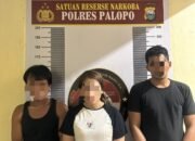 Polisi Tangkap Tiga Pelaku Penyalahgunaan Narkoba di Palopo