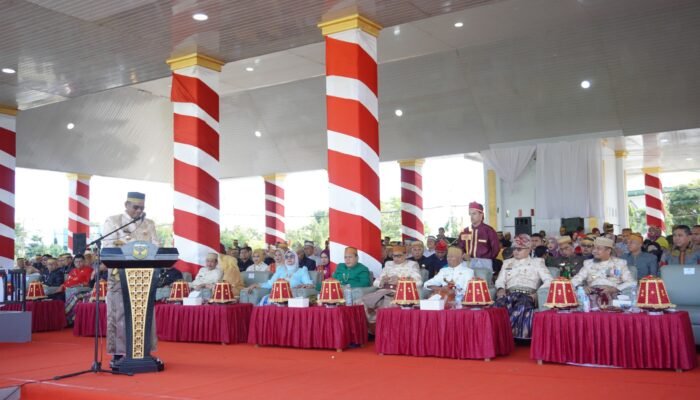 Peringatan Hari Jadi ke-66 Luwu, Gubernur Sulsel Janjikan Sejumlah Proyek Strategis