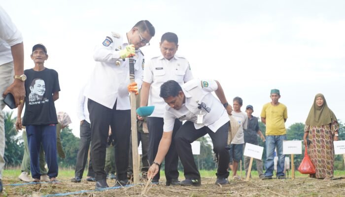 Dukung Program Nasional, Luwu Manfaatkan Kawasan Perhutanan Sosial untuk Ketahanan Pangan