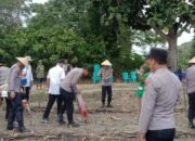 Desa Seppong Jadi Pusat Penanaman Jagung Serentak di Kabupaten Luwu