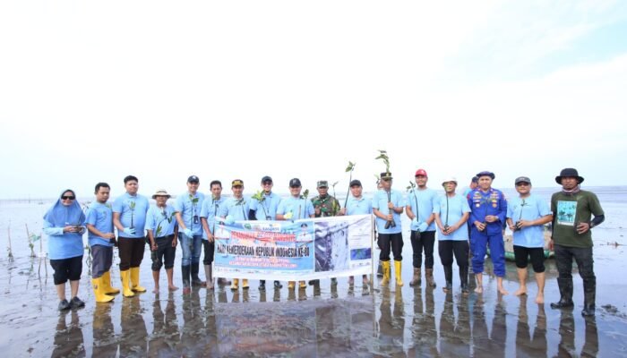 Pemkab Luwu Tanam 1.700 Bibit Mangrove di Pantai Mamunta Peringati HUT RI ke-80