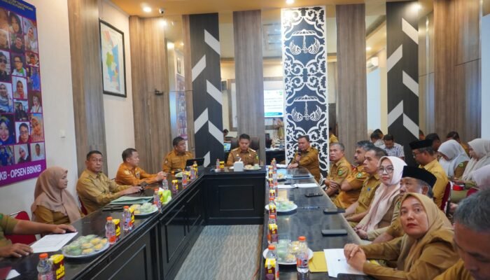 Realisasi PAD Luwu Baru 49 Persen, Wabup Dorong Strategi Digitalisasi