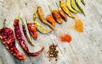 Scoville, Satuan Ukur Pedas yang Wajib Diketahui Pecinta Cabai