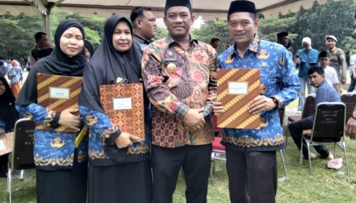 890 PPPK Luwu Dilantik, Bupati Patahudding Dorong Profesionalisme Aparatur