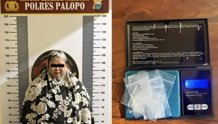 Edarkan Sabu Lewat Sistem COD, Wanita di Palopo Dibekuk