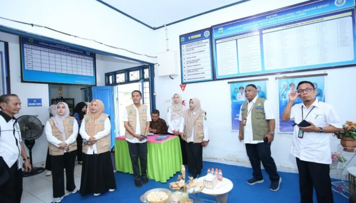 Tim Nasional Catat Kemajuan Luwu dalam Tatanan Kabupaten Sehat