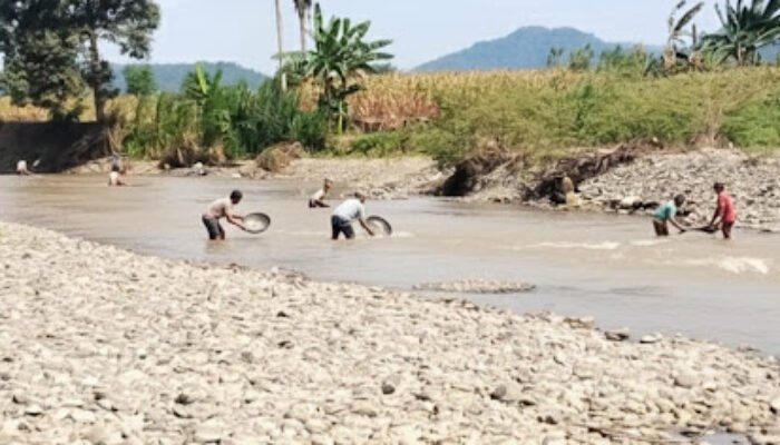 Musim Kemarau, Warga Bajo Barat Ramai-ramai Dulang Emas di Sungai