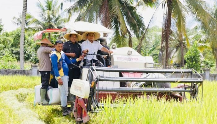 Bupati Lutim Tegas: Pembeli Gabah di Bawah Rp6.500 Akan Ditindak
