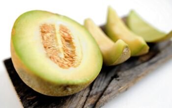 Menyegarkan dan Menyehatkan, Ini Deretan Manfaat Buah Melon bagi Tubuh