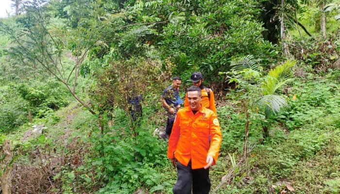 Pria di Luwu Hilang Misterius, Tim SAR Lakukan Pencarian di Pegunungan Parembonan