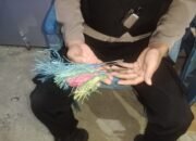 Tawuran Antar Kelompok Pemuda Pecah di Palopo, Batu dan Anak Busur Berserakan