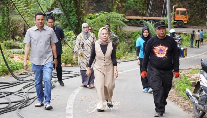Longsor Tutup Akses Latuppa–Bastem, Wali Kota Palopo Pastikan Normalisasi Cepat