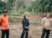 Dukung Ketahanan Pangan, Wali Kota Palopo Tinjau Proyek SIPURI Rp10 Miliar