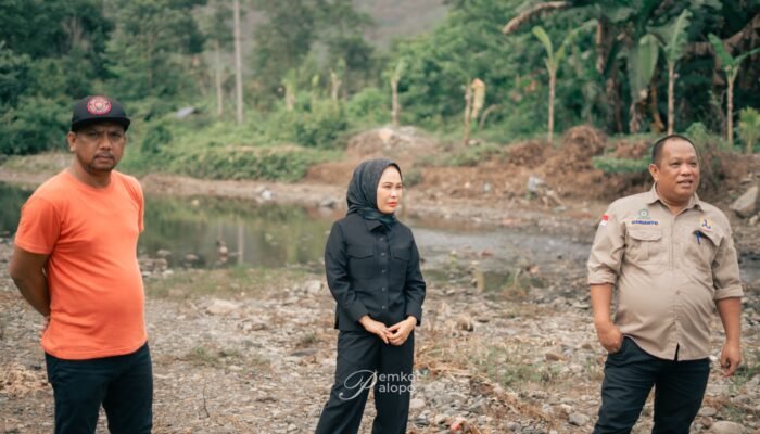 Dukung Ketahanan Pangan, Wali Kota Palopo Tinjau Proyek SIPURI Rp10 Miliar