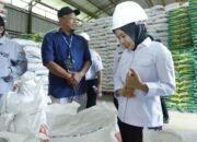 Hadapi Nataru dan Ramadan 2026, Palopo Pastikan Stok Pangan Terkendali