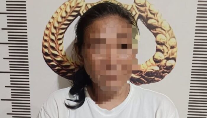 Miliki dan Edarkan Sabu, Seorang Perempuan di Bulukumba Diciduk Polisi