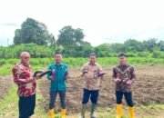 Dorong Kemandirian Warga Binaan, Lapas Palopo Optimalkan Lahan Pertanian