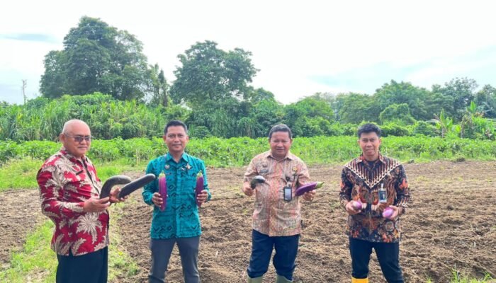 Dorong Kemandirian Warga Binaan, Lapas Palopo Optimalkan Lahan Pertanian