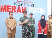 Perkuat Ekonomi Desa, Pangdam XIV/Hasanuddin dan Wabup Luwu Tinjau KDMP