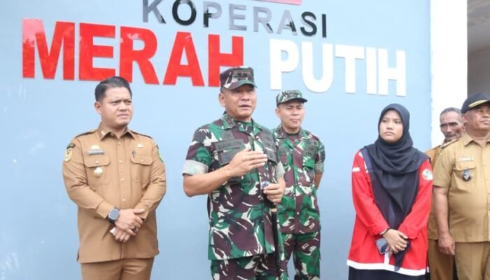 Perkuat Ekonomi Desa, Pangdam XIV/Hasanuddin dan Wabup Luwu Tinjau KDMP